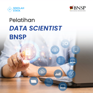 Data Scientist BNSP