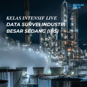 Kelas Data Survei IBS