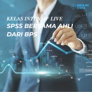 SPSS Bersama Ahli Dari BPS Silver