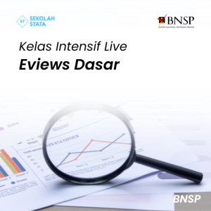 Kelas Eviews Dasar BNSP