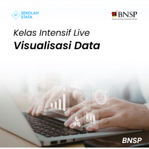 Kelas Visualisasi Data BNSP